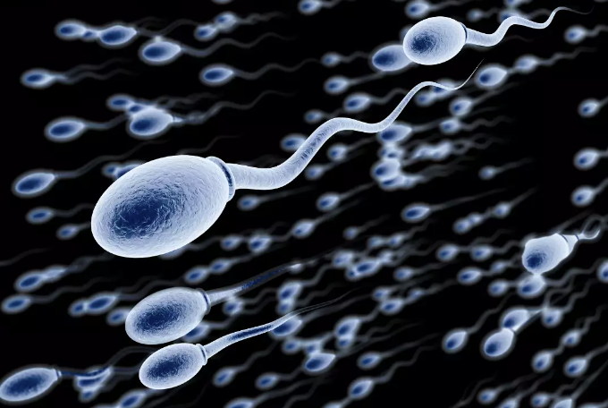 Common Habits That Could Harm Your Sperm